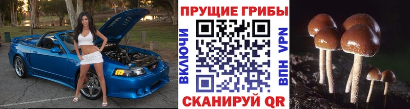 Галлюциногенные грибы мицелий  Котовск 